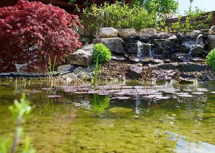 Jade Panzio Bed & Breakfast